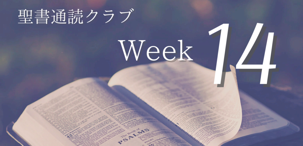 聖書通読クラブ Week 14