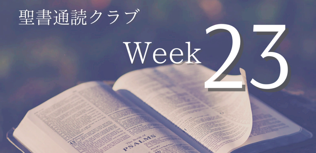 聖書通読クラブ Week 23
