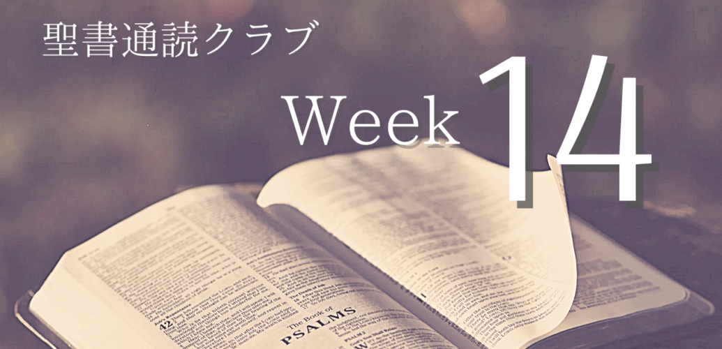 聖書通読クラブ Week 14