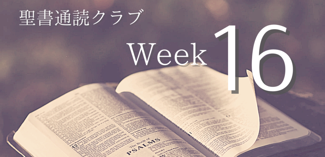 聖書通読クラブ Week 16