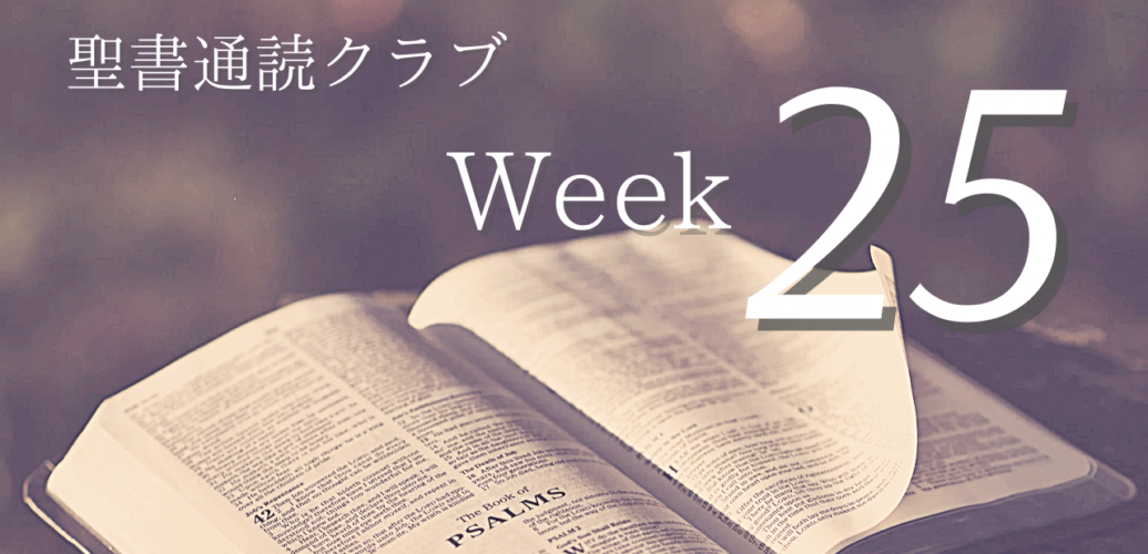 聖書通読クラブ Week 25