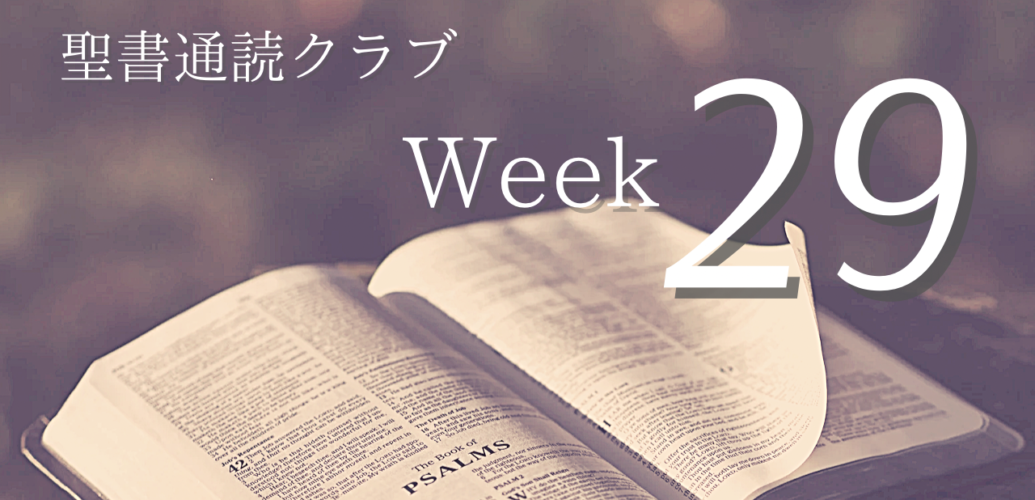 聖書通読クラブ Week 29
