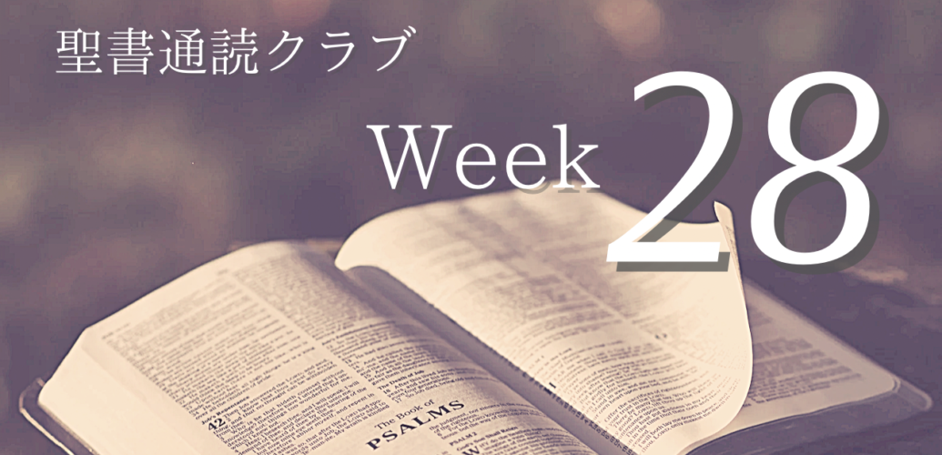 聖書通読クラブ Week 28