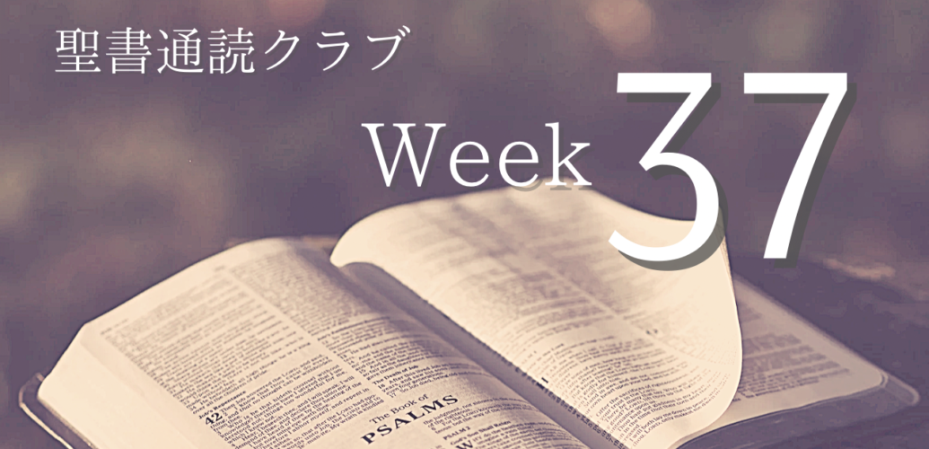 聖書通読クラブ Week 37